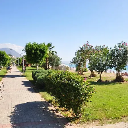 Cozmina Apart فندق